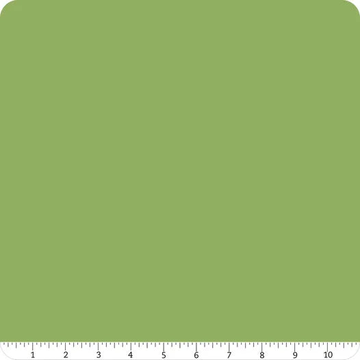 Confetti Cotton Solid Basil Riley Blake Designs Cotton Fabric RB-C120-BASIL