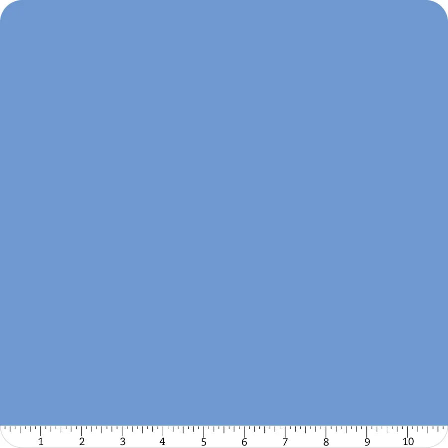 Confetti Cotton Solid Blueberry Riley Blake Designs Cotton Fabric RB-C120-BLUEBERRY