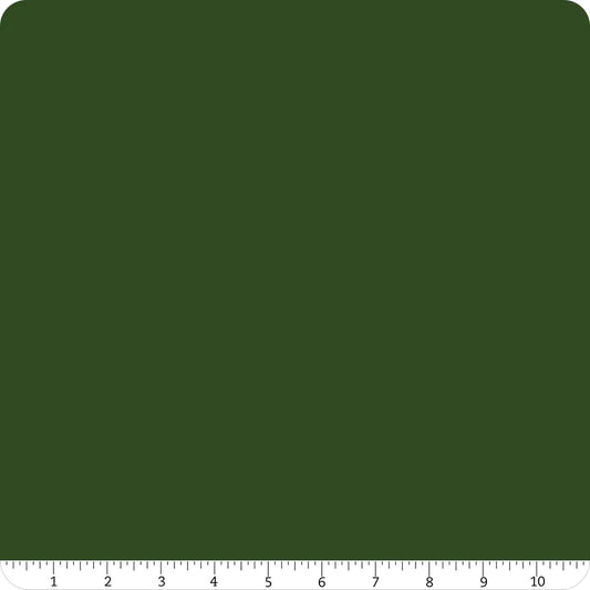 Confetti Cotton Solid Forest Riley Blake Designs Cotton Fabric RB-C120-FOREST