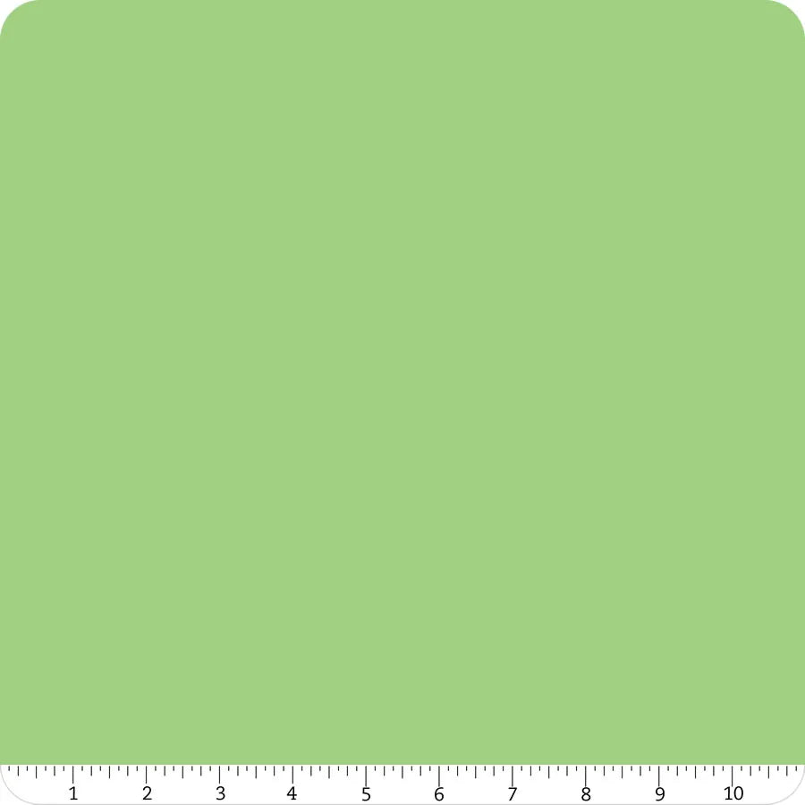 Confetti Cotton Solid Grass Riley Blake Designs Cotton Fabric RB-C120-GRASS