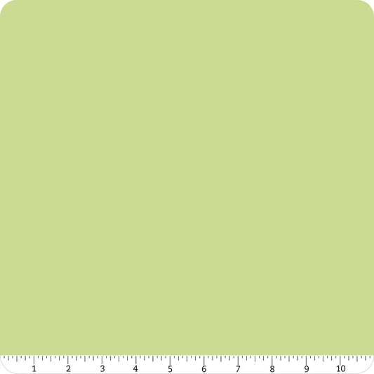 Confetti Cotton Solid Honeydew Riley Blake Designs Cotton Fabric RB-C120-HONEYDEW