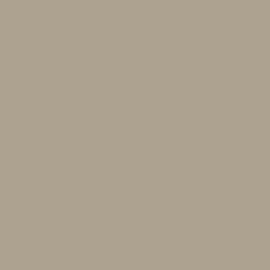 Confetti Cotton Solid Trail Riley Blake Designs Cotton Fabric RB-C120-TRAIL